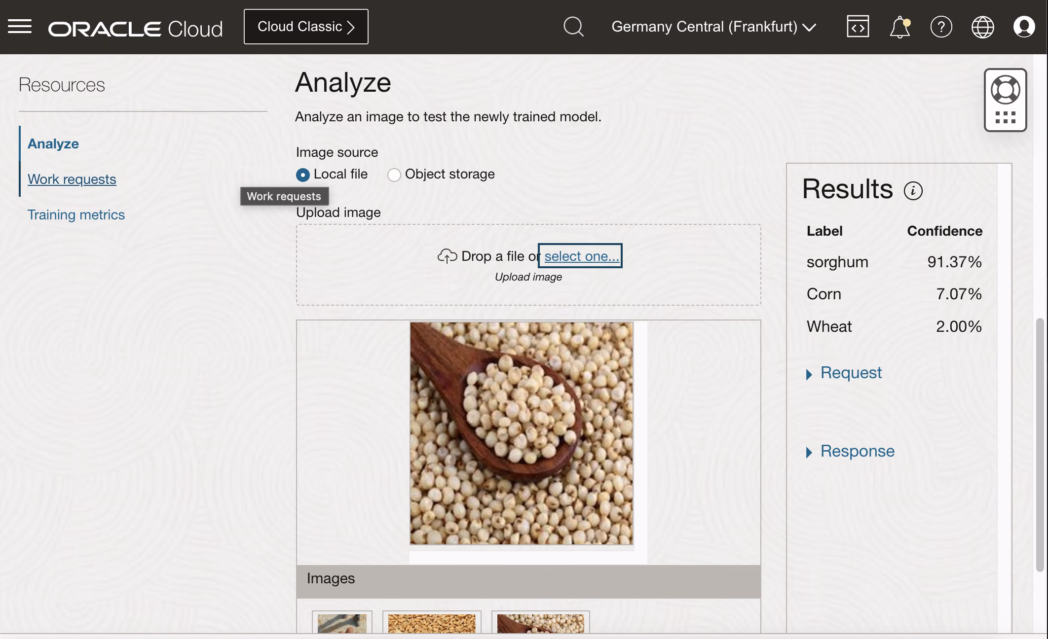 OCI Vision prediction for sorghum